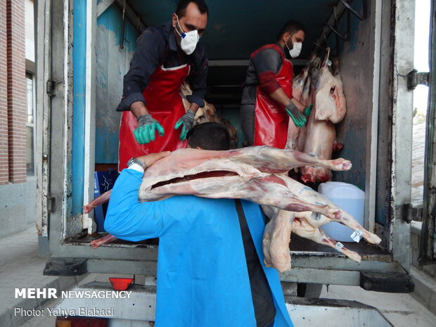 ذبح و توزیع  ۱۴۲ راس گوسفند در بین نیازمندان کرمانشاهی