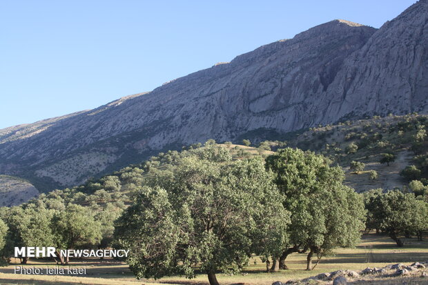 زیبایی های «پشته الویزان» در شهرستان بدره - ایلام