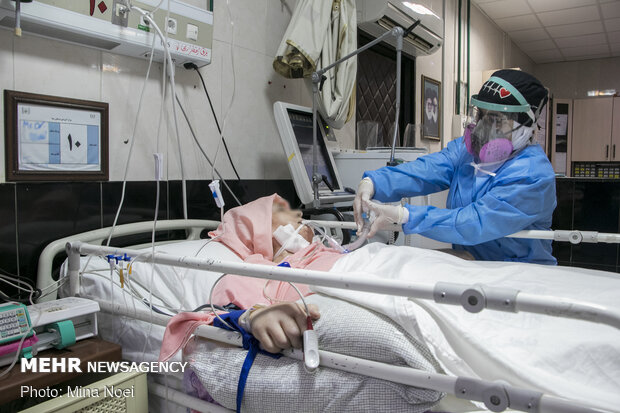  بستری ۳۴۶ بیمار در بخش‌های کرونایی استان بوشهر/ ثبت ۴ فوتی جدید