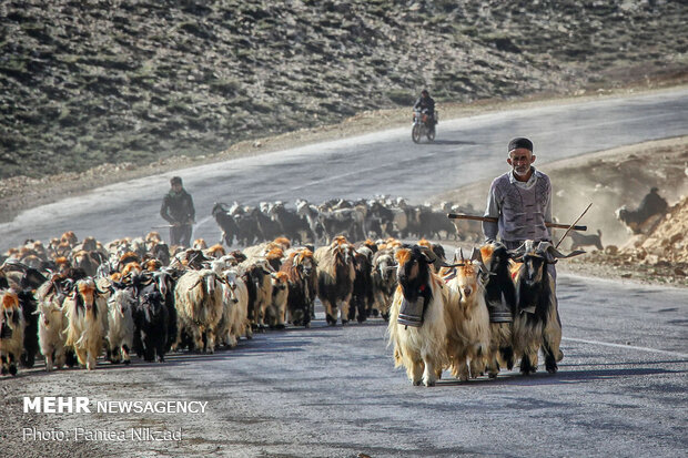 Bakhtiari nomadic lifestyle
