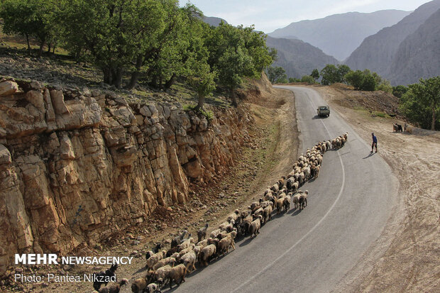 Bakhtiari nomadic lifestyle
