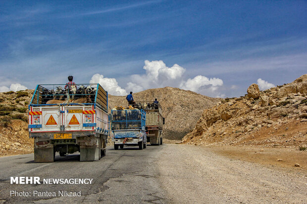 Bakhtiari nomadic lifestyle
