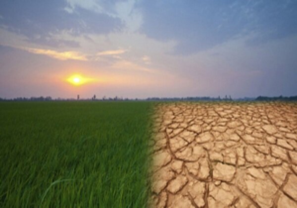 خشک‌سالی مزارع خرمشهر را تهدید می‌کند