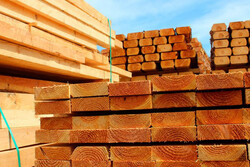 قیمت چوب در آمریکا ۲۵۰ درصد جهش کرد