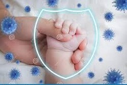 انتقال آنتی بادی از مادر به نوزاد با تزریق واکسن کووید ۱۹