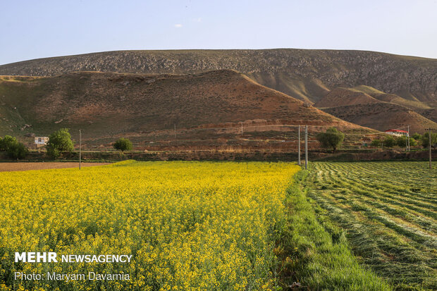 Spring in North Khorasan province