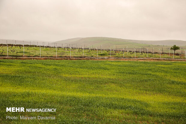 Spring in North Khorasan province