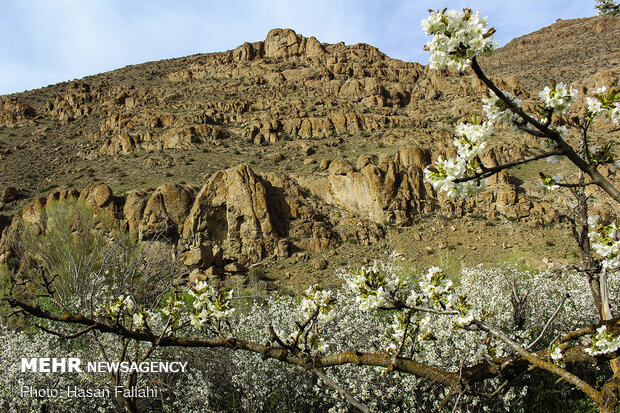 هیر،شهر شکوفه های گیلاس - اردبیل