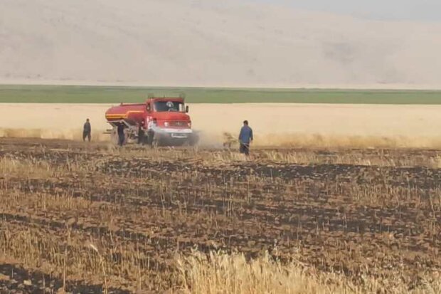کشاورزان شادگانی خطر آتش سوزی مزارع را جدی بگیرند
