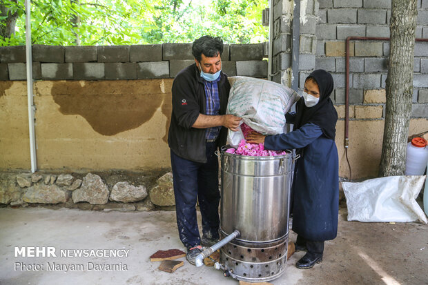  çiçek hasadı 