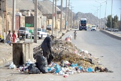 زباله‌گردهای شهر کرمان ساماندهی می‌شوند