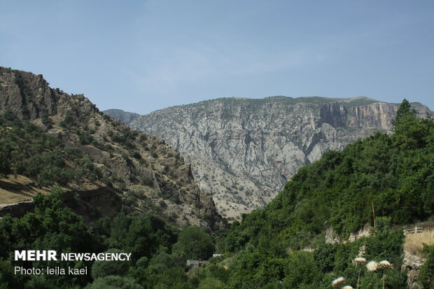 روستای هدف گردشگری کلم
