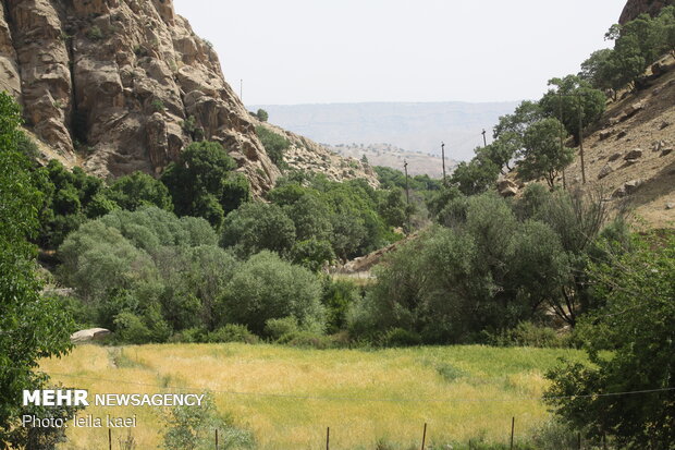 Kolm-e Bala village in W Iran
