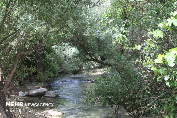 Kolm-e Bala village in W Iran
