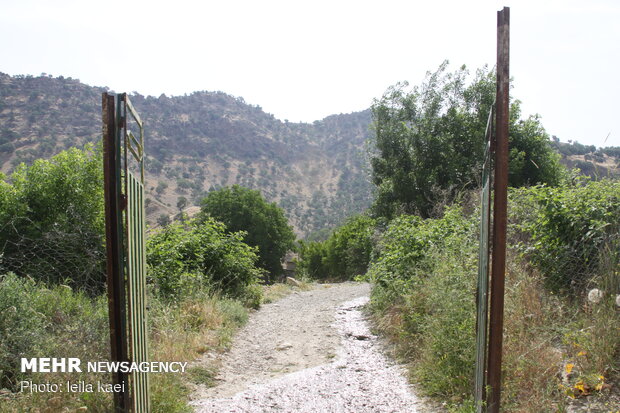 روستای هدف گردشگری کلم