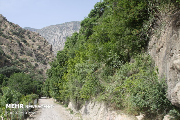 Kolm-e Bala village in W Iran
