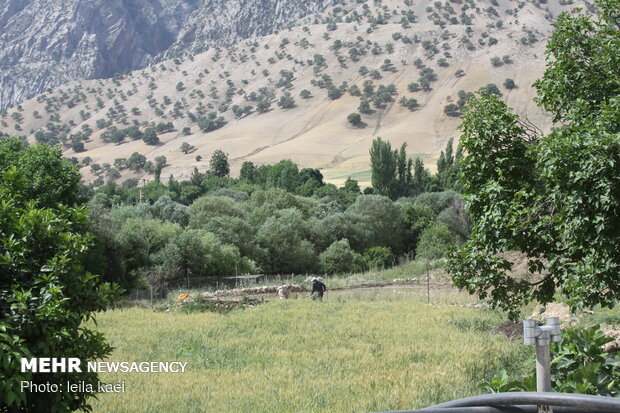 Kolm-e Bala village in W Iran
