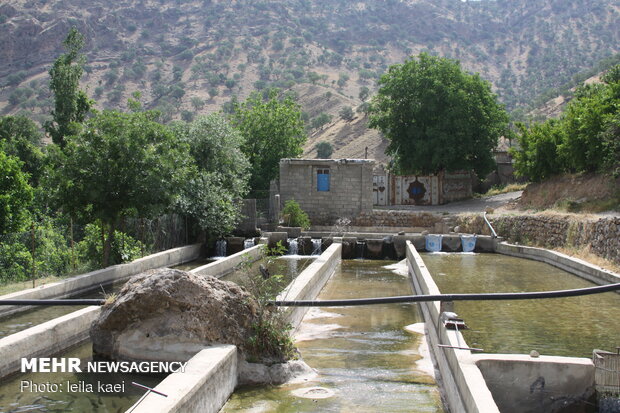 Kolm-e Bala village in W Iran

