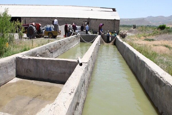 رهاسازی ۱۰۰ هزار قطعه ماهی در استخرهای  آب کشاورزی آذربایجان غربی