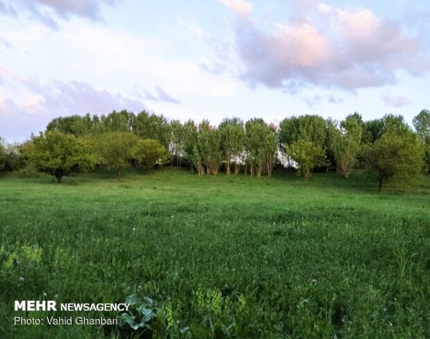 Breathtaking scenery of spring in Owryad Village
