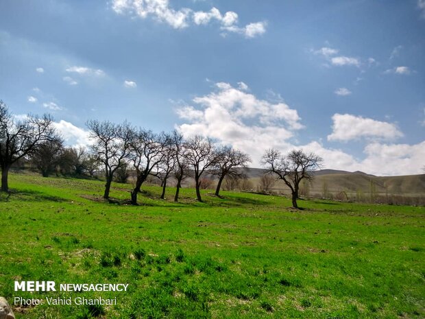 Breathtaking scenery of spring in Owryad Village
