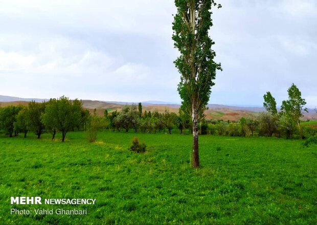 Breathtaking scenery of spring in Owryad Village
