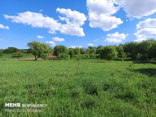 Breathtaking scenery of spring in Owryad Village
