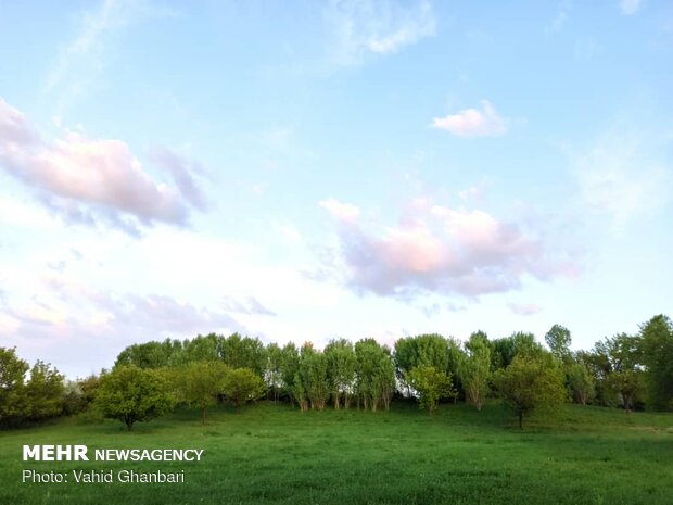 Breathtaking scenery of spring in Owryad Village
