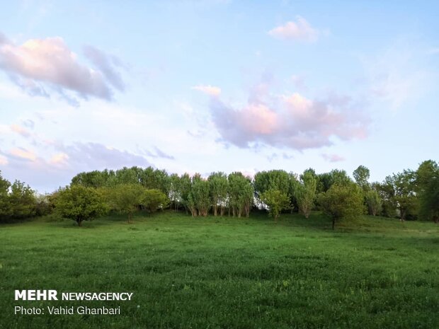 Breathtaking scenery of spring in Owryad Village
