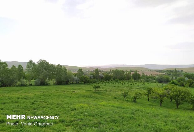 Breathtaking scenery of spring in Owryad Village
