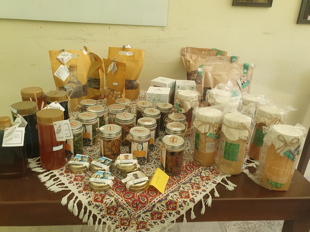 اینفلوئنسراروپایی با عشایر ایران کوچ کرد/گردشگری،معیشت مکمل عشایر