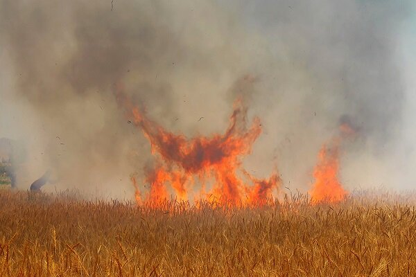 خسارت ۱۲۰میلیون‌تومانی به کشاورزان در آتش‌سوزی مزارع سرپل ذهاب