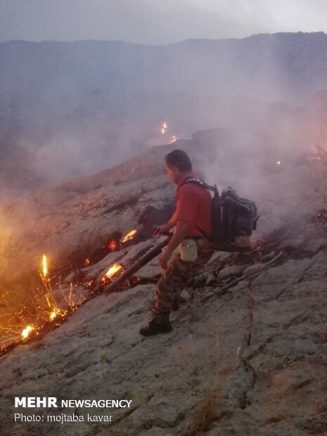 مهار آتش سوزی سیاه کوه دهلران
