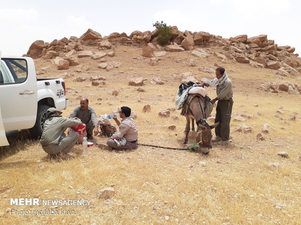 مهار آتش سوزی سیاه کوه دهلران