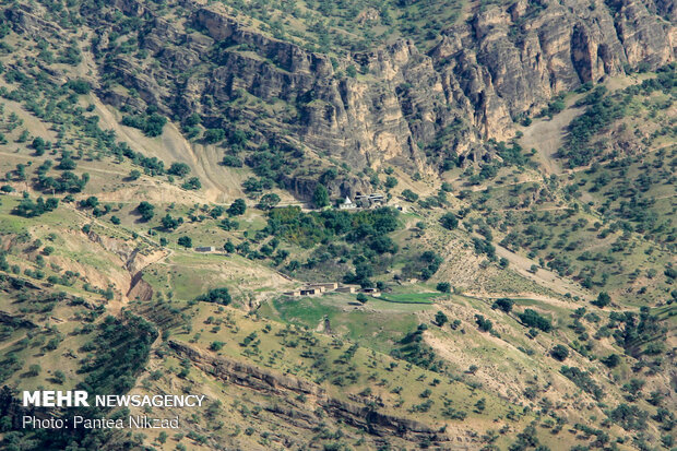 Oak trees on Zagros with breathtaking views in SW Iran 