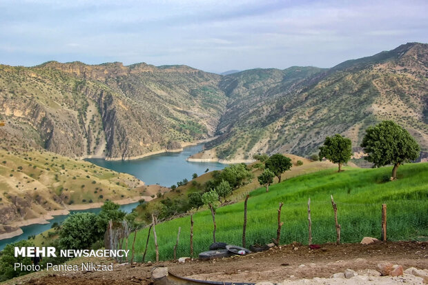 Oak trees on Zagros with breathtaking views in SW Iran 