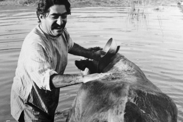 میراث مهرجویی برای سینمای ایران؛ فیلسوفی که شاعرانه فیلم می‌ساخت