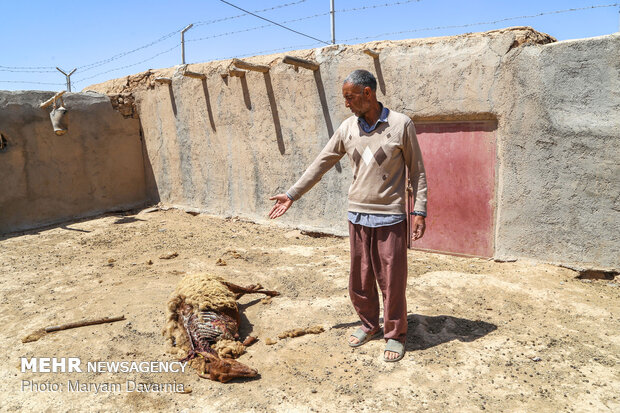 یک روز بعد از زلزله روستای شورک