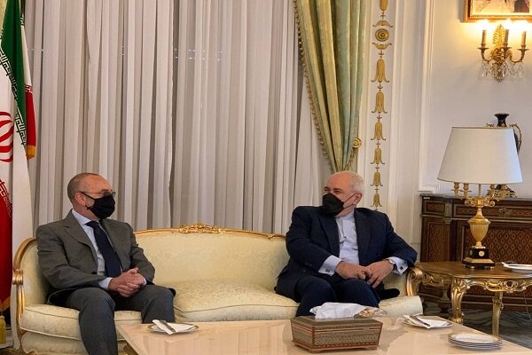 ظریف با رئیس کمیسیون سیاست خارجی سنای ایتالیا دیدار کرد