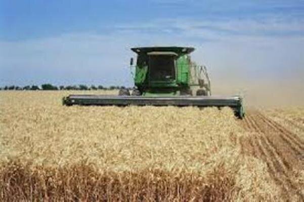 خسارت خشکسالی به کشاورزی گلستان/۲۶۰ هزار تن گندم برداشت شد