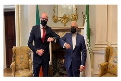 FM Zarif meet his his Irish counterpart in Dublin