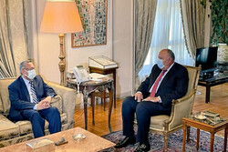 رایزنی رئیس شورای مشورتی یمن با وزیر خارجه مصر درباره بحران یمن