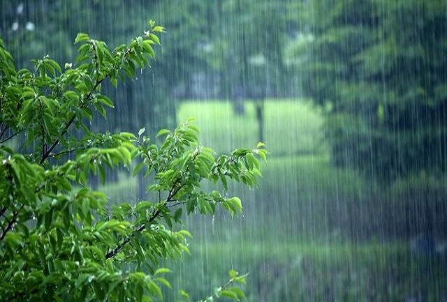بارندگی در زنجان ۳۸ درصد کاهش دارد