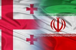 Iran, Georgia mull over to settle problem ahead of investors