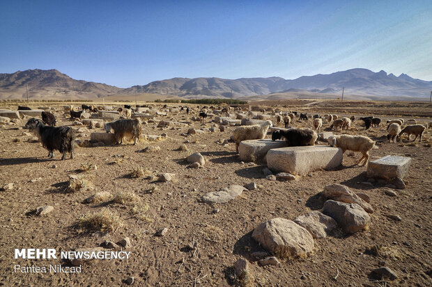 قبرستان تاریخی ارامنه روستای قلعه ممکا