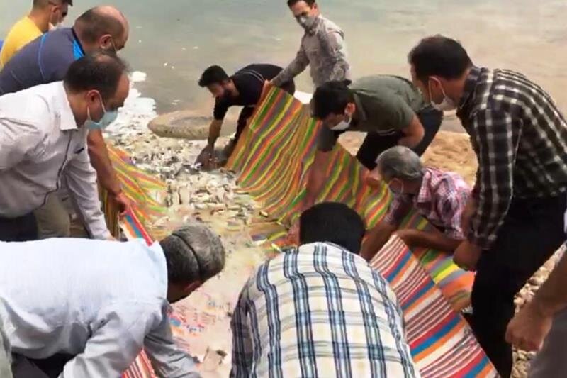 ۱۰ هزار قطعه ماهی در رودخانه دز رها سازی شد