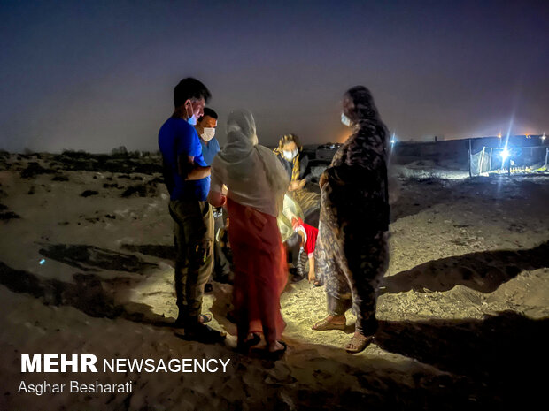 Newly-hatched turtles go back to sea on Qeshm Island