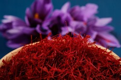 Iran's saffron exports top $240 million