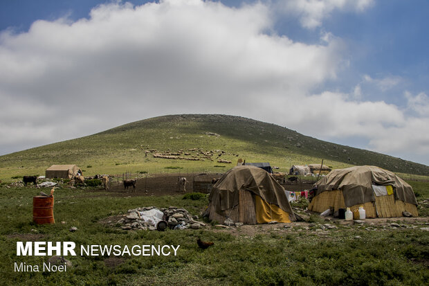 Tribal communities in E Azarbaijan receive Covid-19 vaccines
