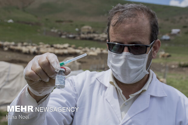 Tribal communities in E Azarbaijan receive Covid-19 vaccines
